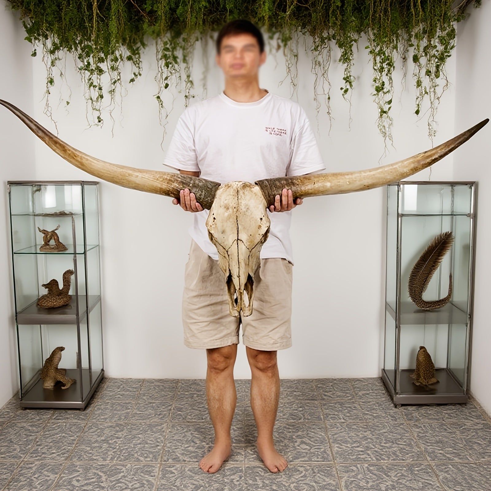 70 Inch Oversized Bull Horn Wall Decor